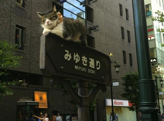 Illustration for article titled Yesterday Was a Highly Unusual Day in Japan